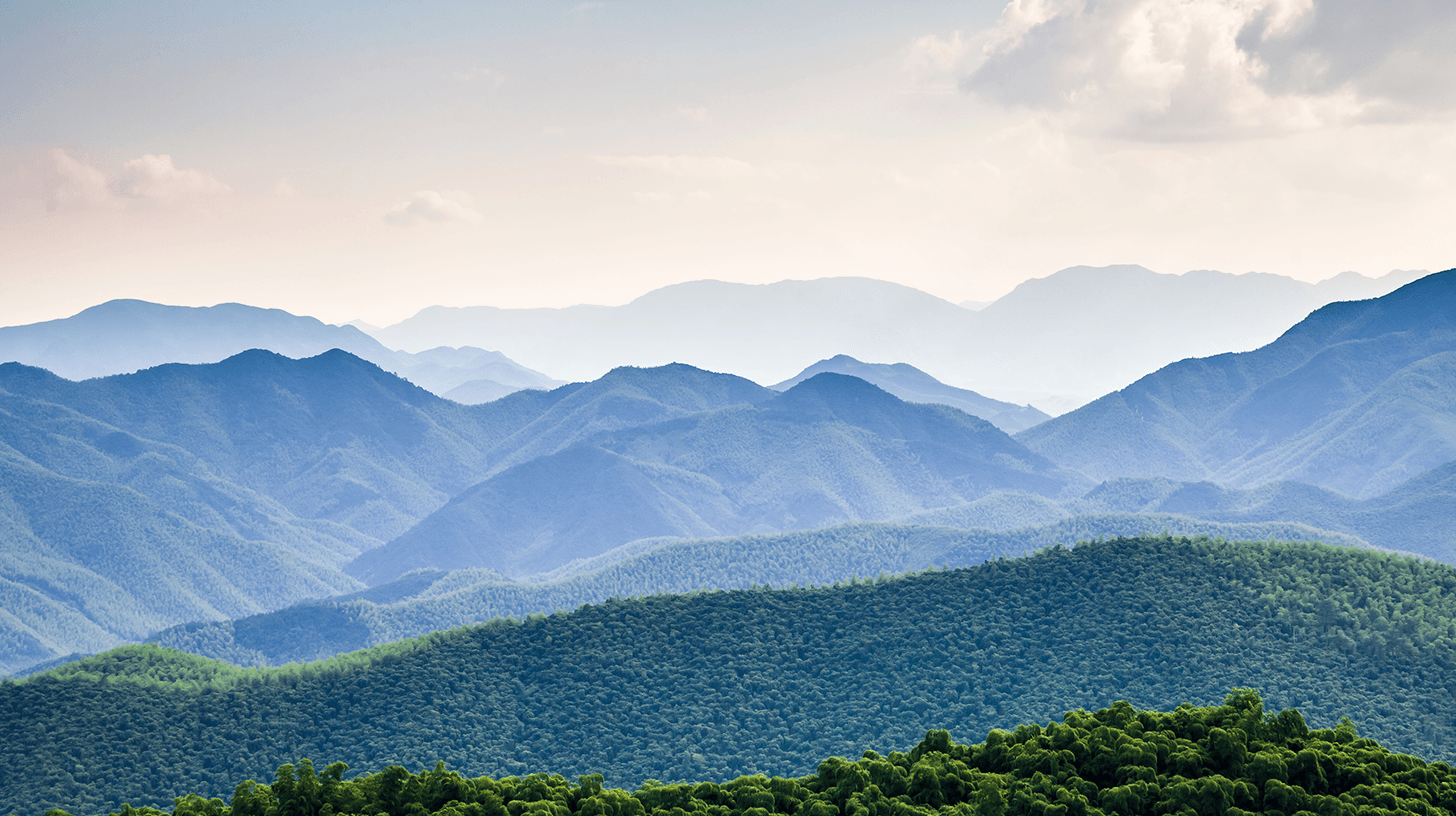 Mountains covered in trees 